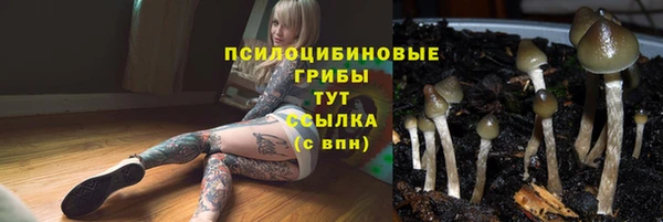 ГАЛЛЮЦИНОГЕННЫЕ ГРИБЫ Ступино