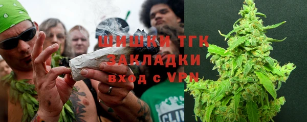 ГАЛЛЮЦИНОГЕННЫЕ ГРИБЫ Ступино