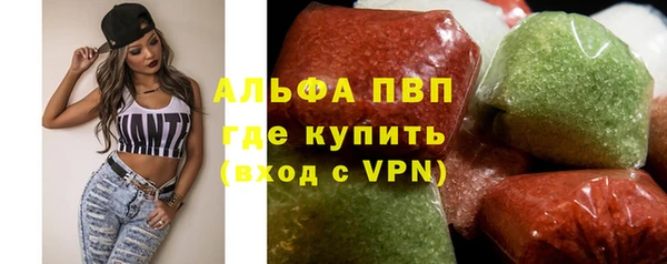 сатива Туринск