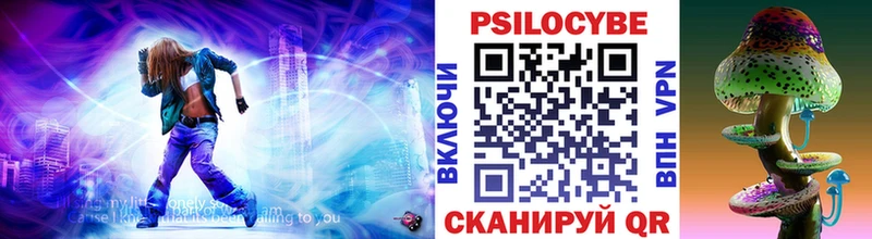 Галлюциногенные грибы Psilocybe  Купить  Новосибирск 